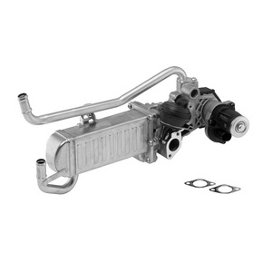 Module-EGR