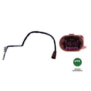 Capteur, température des gaz