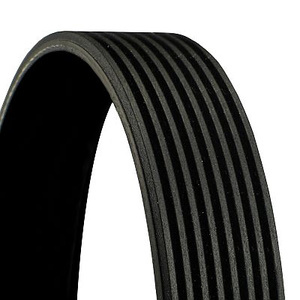 1X CONTITECH COURROIE TRAPÉZOÏDALE À NERVURES POUR HONDA ACCORD 6 CG CK
