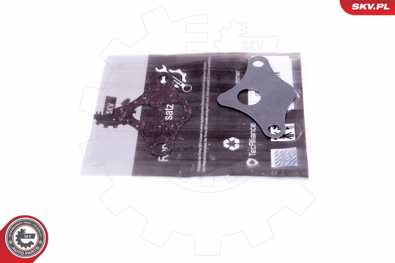 ESEN SKV 14SKV522 - Kit de réparation, vanne EGR