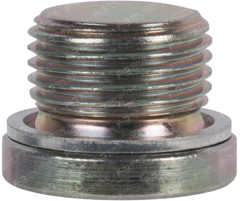 Surub de golire,baia de ulei SW-STAHL SW03033L