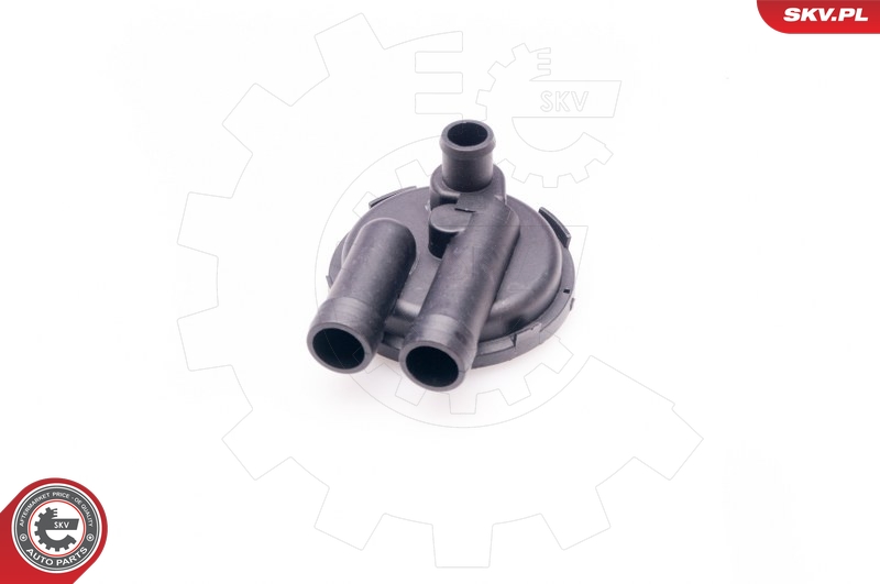 ESEN SKV 31SKV011 - Soupape (ventilation du carter) 1