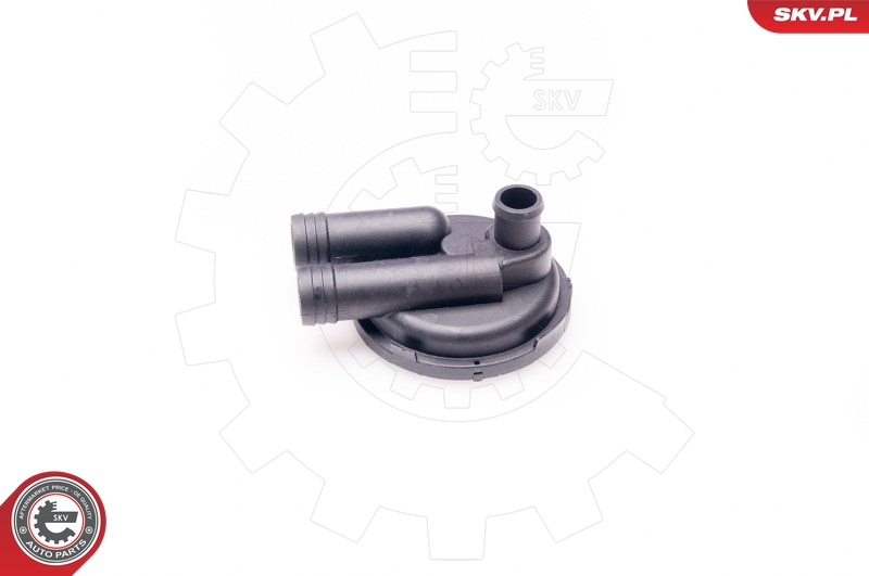 ESEN SKV 31SKV011 - Soupape (ventilation du carter)