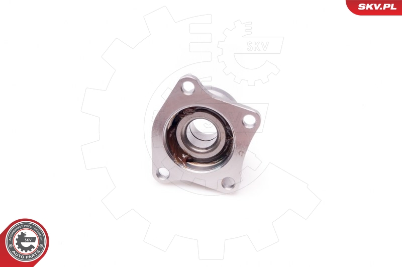 ESEN SKV 29SKV080 - Kit de roulements de roue 2