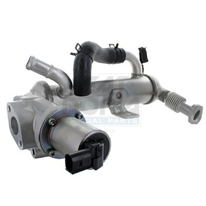 Module-EGR