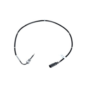 Capteur, température des gaz