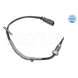 Capteur, température des gaz