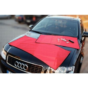 Bodywork protector with anti slip matting, 900x500mm