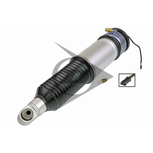 Armortisseur pneumatique