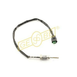 Capteur, température des gaz