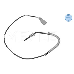 Capteur, température des gaz