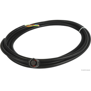 Ligne de rattachement, feu