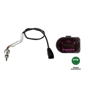 Capteur, température des gaz