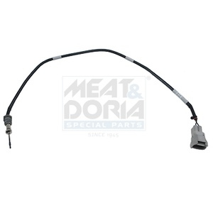 Capteur, température des gaz