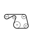 CONTINENTAL CTAM 6PK1310K1 - Jeu de courroies trapézoïdales à nervures 1