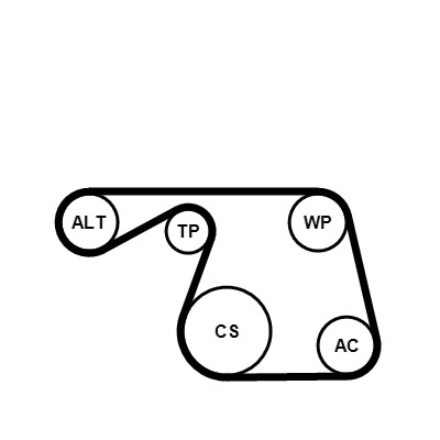 CONTINENTAL CTAM 6PK1310K1 - Jeu de courroies trapézoïdales à nervures