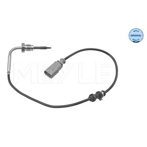 Capteur, température des gaz