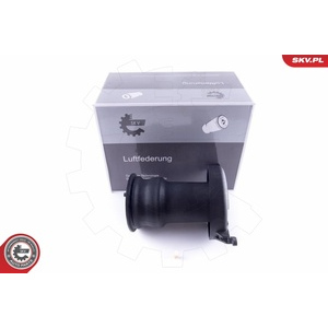 Ressort pneumatique, châssis