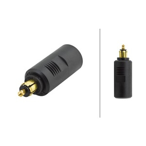 Adaptateur, prise