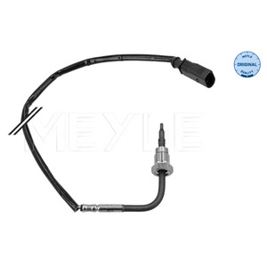 Capteur, température des gaz