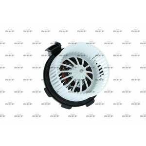 Pulseur d'air habitacle