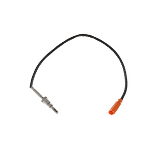 Capteur, température des gaz