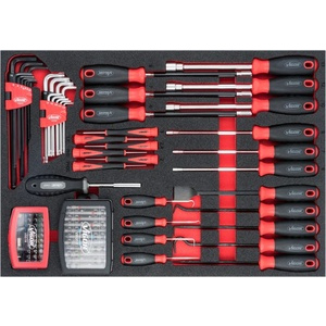 Jeu de tournevis et d'embouts - Nombre d'outils : 97