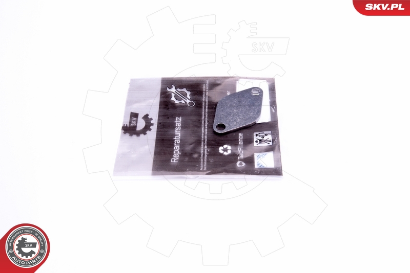 ESEN SKV 14SKV541 - Kit de réparation, vanne EGR