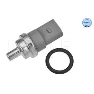 Capteur (température du liquide de refroidissement)