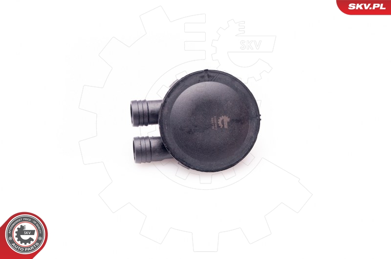 ESEN SKV 31SKV011 - Soupape (ventilation du carter) 2