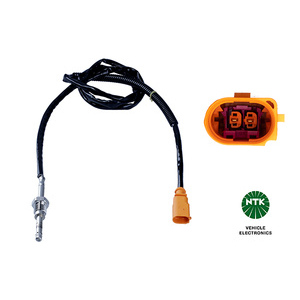 Capteur, température des gaz