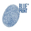 BLUE PRINT