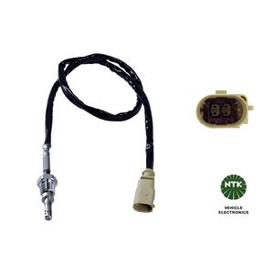 Capteur, température des gaz