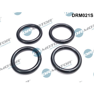 Joint d'étanchéité (collecteur d'admission)