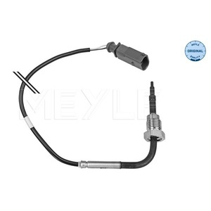 Capteur, température des gaz