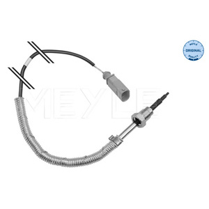 Capteur, température des gaz