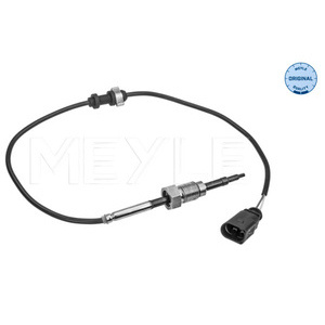 Capteur, température des gaz